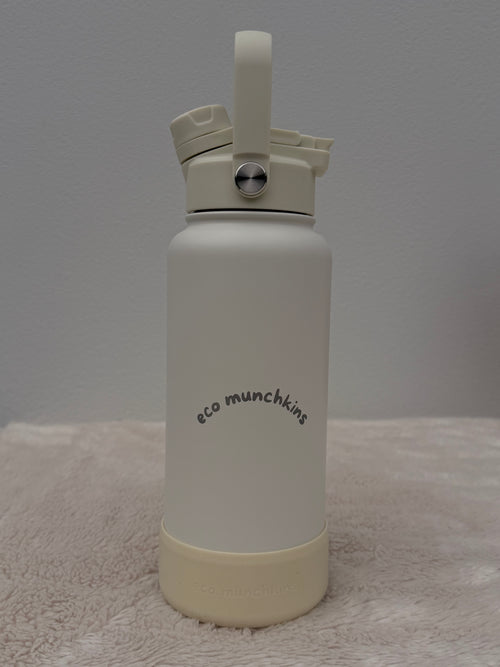 32oz Stainless Steel Water Bottle