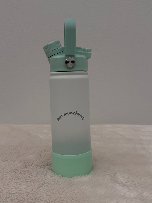18oz Stainless Steel Water Bottle